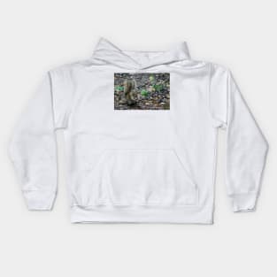 obs squirrel Kids Hoodie